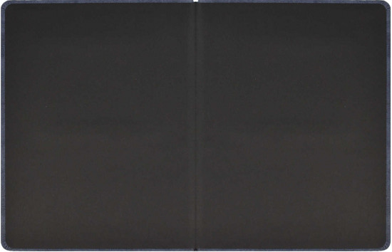 Дневник школьный «Канвас экстра»