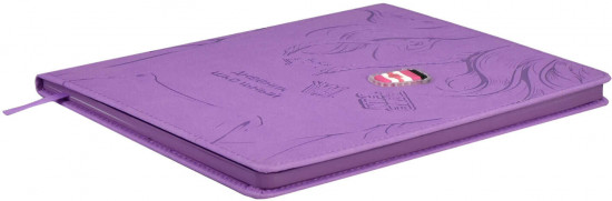 Дневник школьный «Худи»