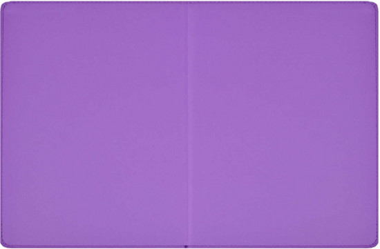 Дневник школьный «Худи»