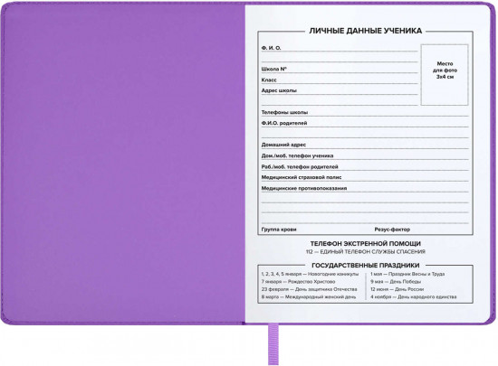 Дневник школьный «Худи»