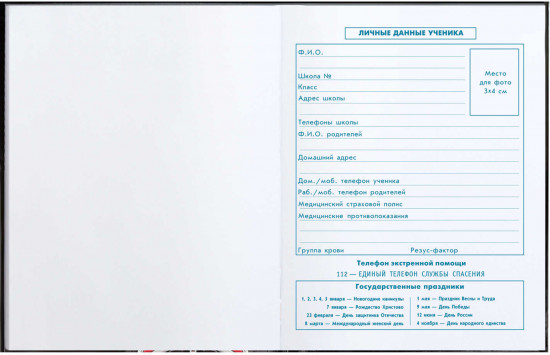 Дневник школьный «Роботы»