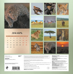 Календарь настенный на 2025 год «Дикий мир» - Фото 1