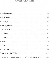 Астра - Фото 1