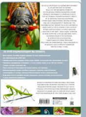 Насекомые - Фото 1