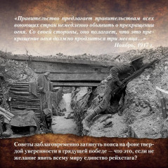 Будни добровольца. В окопах Первой мировой - Фото 5