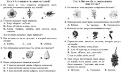 Тесты. Окружающий мир. 1 класс: Природа. Дом. Прописи - Фото 2