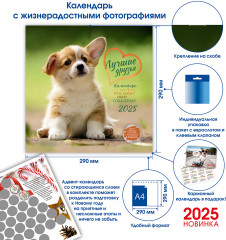 Календарь-органайзер на 2025 год «Лучшие друзья» - Фото 1