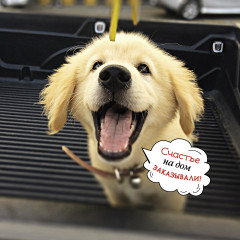 Календарь-органайзер на 2025 год «Лучшие друзья» - Фото 6