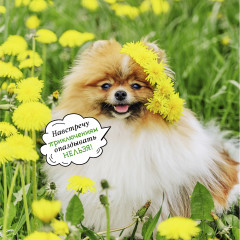 Календарь-органайзер на 2025 год «Лучшие друзья» - Фото 10