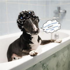 Календарь-органайзер на 2025 год «Лучшие друзья» - Фото 14