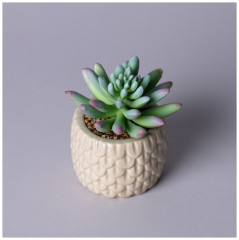 Суккулент искусственный в горшке - Фото 1