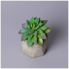 Суккулент искусственный в горшке - Фото 1