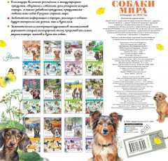 Календарь для детей на 2025 год «Собаки мира» - Фото 1