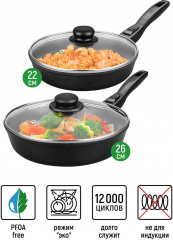 Набор сковород с крышками «Чёрный оникс» - Фото 1