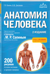 Анатомия человека. 2 издание. Атлас с QR-кодами на цветные изображения - Фото 1