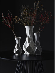 Ваза для сухоцветов «Curve» - Фото 1