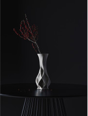 Ваза для сухоцветов «Curve» - Фото 3