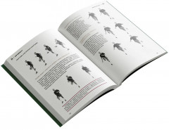 Марафон для простых смертных - Фото 3