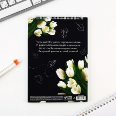 Набор подарочный «Лучшему учителю» - Фото 5