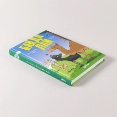 Банда лам. На седьмом небе - Фото 4