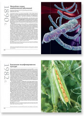 Великая биология. От происхождения жизни до эпигенетики. 250 основных вех в истории биологии - Фото 3