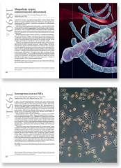 Великая биология. От происхождения жизни до эпигенетики. 250 основных вех в истории биологии - Фото 6