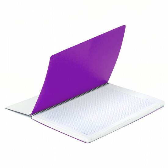 Тетрадь «Metropolis»