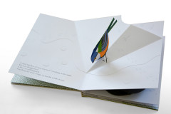 Орешек - Фото 2