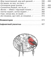 Жизнь моя, иль ты приснилась мне? Стихотворения 1910-1925 годов - Фото 13