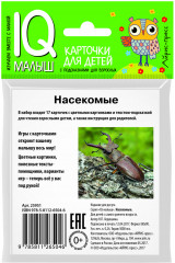 Умный малыш. Насекомые - Фото 1