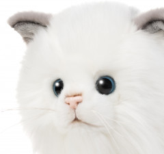 Игрушка мягкая «Котик Турецкая ангора» - Фото 2