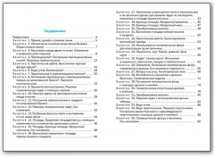 Геометрические задания. 3 класс. Рабочая тетрадь - Фото 4