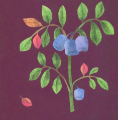 Где твоя малинка? - Фото 2