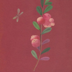 Где твоя малинка? - Фото 4