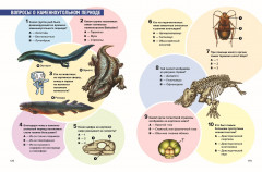 Доисторические первопроходцы. Выпуск 3. Гиганты карбона и перми - Фото 8