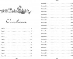 Идеальный дуэт. Ария - Фото 8