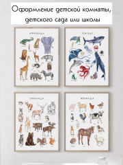 Обучающие постеры на казахском языке для детей формат А3 без ламинирования - Фото 1