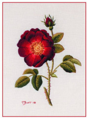 Оттеночное вышивание гладью. Мотивы с цветами и птицами - Фото 4