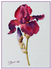 Оттеночное вышивание гладью. Мотивы с цветами и птицами - Фото 5