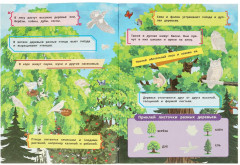 Книга наклеек с заданиями «В лесу» - Фото 1