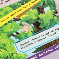 Книга наклеек с заданиями «В лесу» - Фото 5