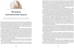 Кабинет редкостей — анатомических, медицинских и жутких - Фото 4