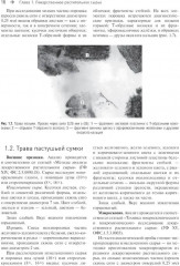 Фармакогнозия. Атлас в 3 томах. Том 3 - Фото 9