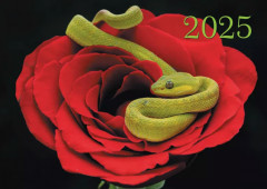 Календарь квартальный на 2025 год «Змея любви» - Фото 1