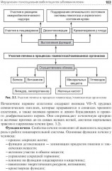 Медико-социальная реабилитация пациентов с различной патологией. Часть 2 - Фото 10