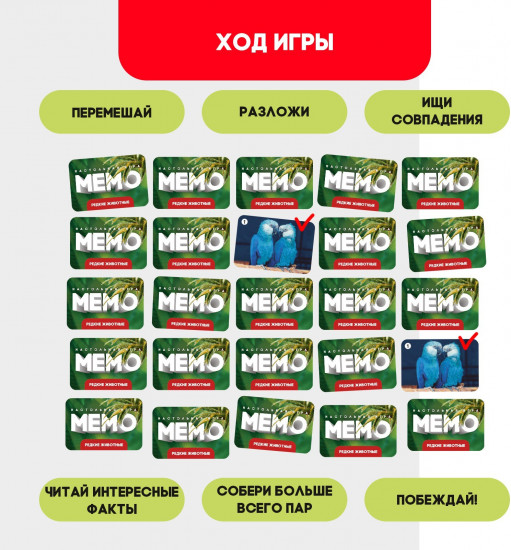 Игра настольная «Мемо. Редкие животные»