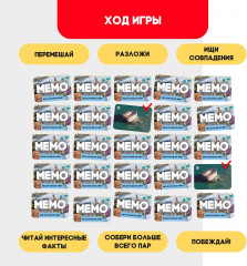 Игра настольная «Мемо. Экскурсия по миру» - Фото 3