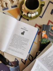 Библиотека кота Мортимера - Фото 9