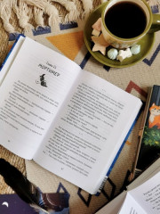 Библиотека кота Мортимера - Фото 10