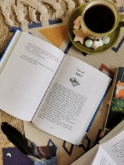 Библиотека кота Мортимера - Фото 13